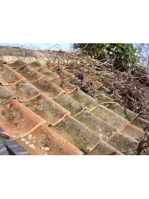 Roof tile