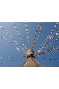 Genuine Large Tibetan Prayer Flags ( Lung Ta) - Fair Trade - Handmade in Nepal