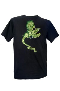 Fair Trade Embroidered Green Dragon T Shirt ( Black T Shirt) Fair Trade Embroidered Green Dragon T Shirt ( Black T Shirt)