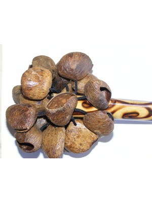 Natural Bali Nut Shaker / Chestnut Shaker / Pangi Seed Shaker 