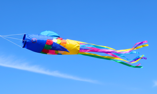 Large Colourful Balinese Fish Wind Sock / Festival Flag / Tent Marker
