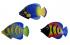 Hand Painted Colourful Balinese Kissing Fish Fridge Magnets ( pack of 3)